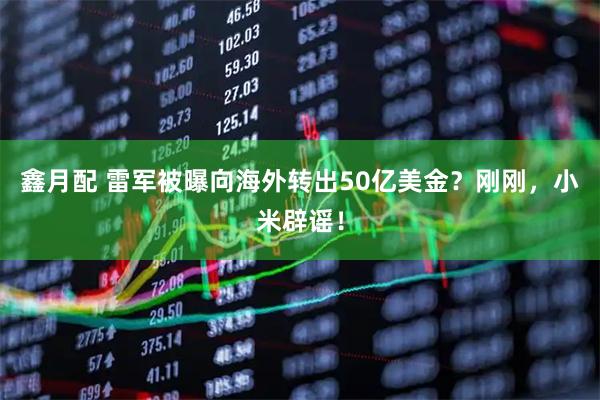 鑫月配 雷军被曝向海外转出50亿美金？刚刚，小米辟谣！